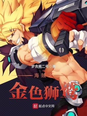 海贼之金色狮鹫TXT