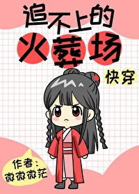追不上的火葬场快穿格格党