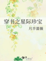 穿书之星际珍宝