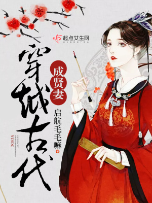 穿越之贤妻