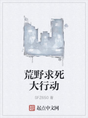 荒野求死小说