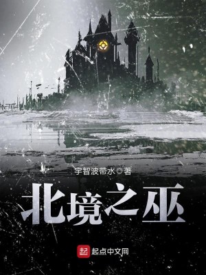 北境之王攻略