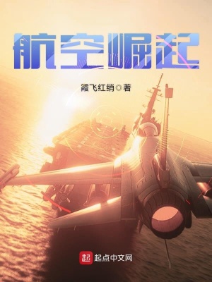 航空崛起全文免费阅读