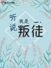 听说我是坏人 小说