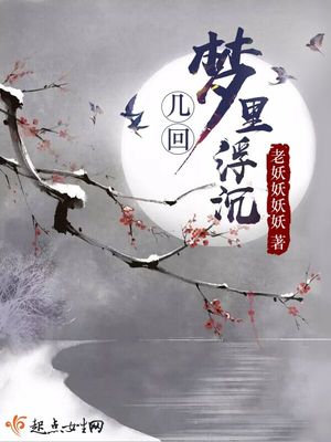几回梦里浮沉小说