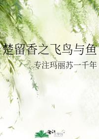 楚留香新传 飞飞