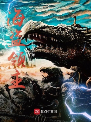 海盗领主 小说