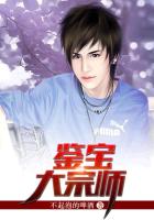 鉴宝大宗师免费下载
