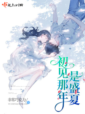 初见那年是盛夏小说简介