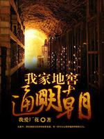 我家地窖通明朝