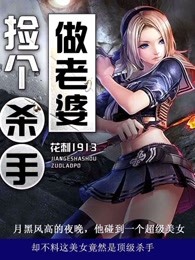 捡个杀手做老婆小说