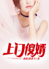 上门傻婿免费阅读