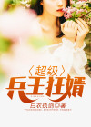 兵王狂婿全文阅读