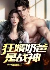 狂婿奶爸是战神小说