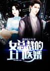 女总裁的上门医婿小说