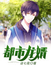 都市龙婿 Z熠