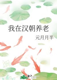 我在汉朝养老TXT下载