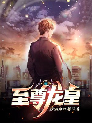 至尊龙皇关天逸