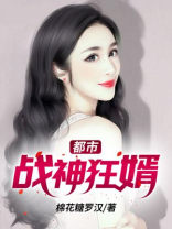 都市战神狂婿TXT下载