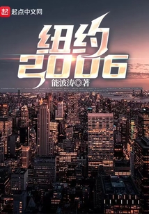 纽约2006小说无防盗