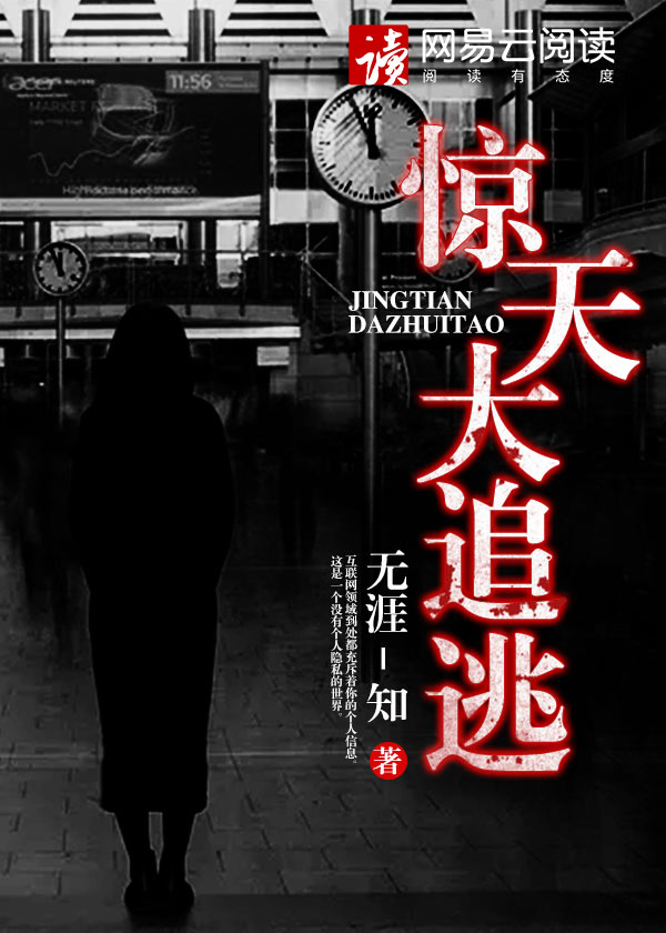惊天大追逃小说