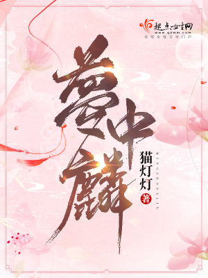梦中麟 猫灯灯