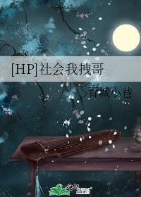 hp社会我拽哥作者微博