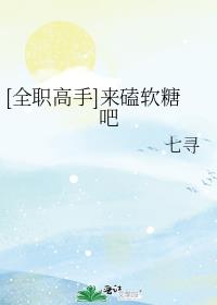 全职高手磕cp
