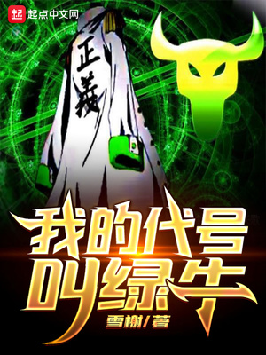 我的代号叫绿牛TXT下载
