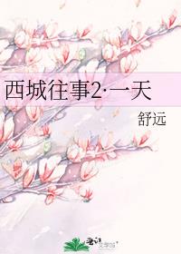 西城往事2・一天舒远小说