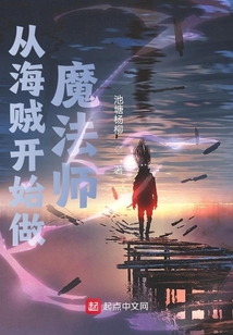 从海贼开始做魔法师TXT下载
