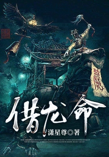 借龙命第二部