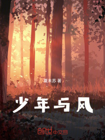 少年与风 周满