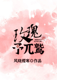 玫瑰予兀鹫讲的什么