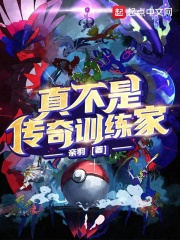 精灵之传奇训练家