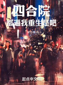 四合院:我傻