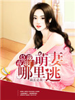 总裁夜敲门萌妻哪里逃有声小说