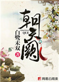朝天阙小说讲的什么