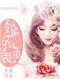婚不由衷总裁不可以全文免费