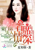 首席情深:豪门第一夫人番外第几章开始