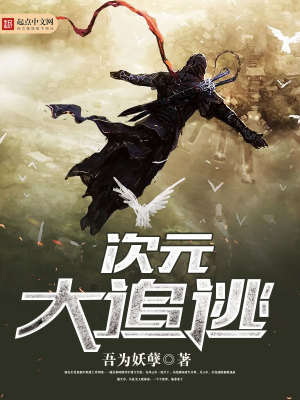 次元大追逃 小说