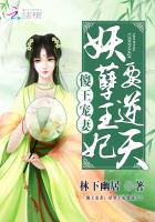 傻王宠妻妖孽王妃要逆天小说
