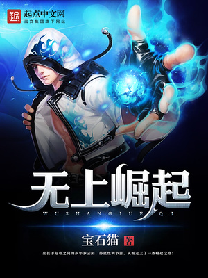 无上崛起小说