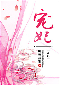 宠妃小说推荐