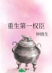 重生第一权臣 小说