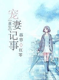 重生宠妻记事 小说