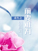 重生―前妻不好追 小说