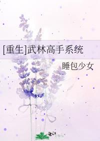 重生武林高手系统