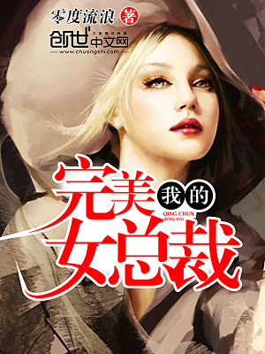 我的完美女总裁 零度流浪 小说
