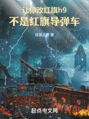 让你改红旗h9,不是红旗导弹车免费